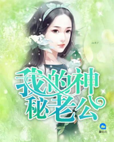 我的神秘老公（月光煮雨创作的网络小说）