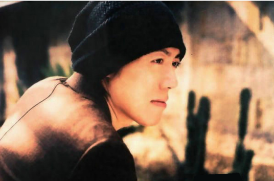 单恋一枝花（张宇演唱歌曲）