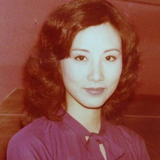 万水千山总是情（电视连续剧《万水千山总是情》主题曲）