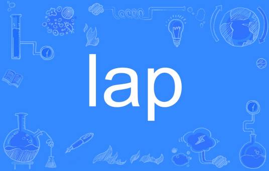 lap（英文单词）