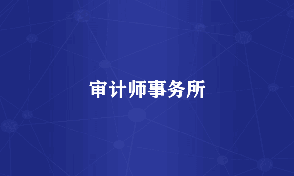 审计师事务所
