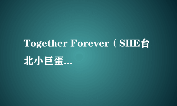 Together Forever（SHE台北小巨蛋巡回演唱会）