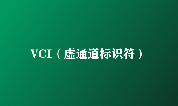 VCI（虚通道标识符）