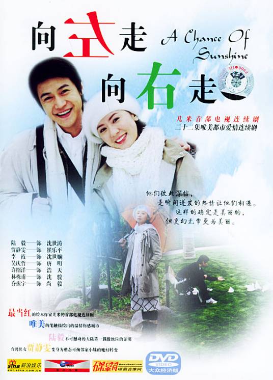 向左走，向右走（2005年陆毅、贾静雯主演电视剧）