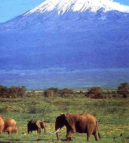 乞力马扎罗国家公园