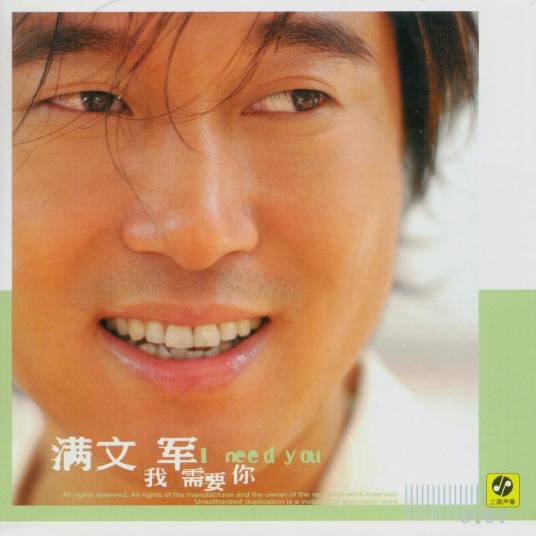我需要你（2002年满文军演唱的歌曲）