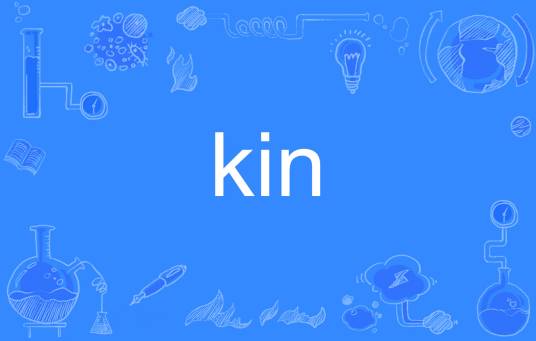 kin（英语单词）