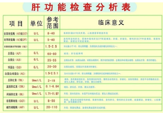 肝功能正常值
