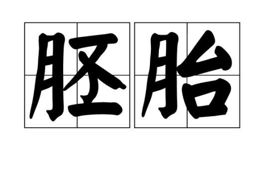 胚胎（汉语词语）