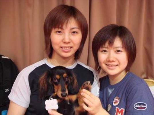 汤媛媛（日本乒乓球运动员福原爱私人教练）