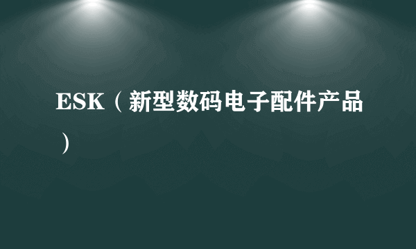 ESK（新型数码电子配件产品）