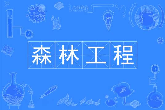 森林工程（中国普通高等学校本科专业）