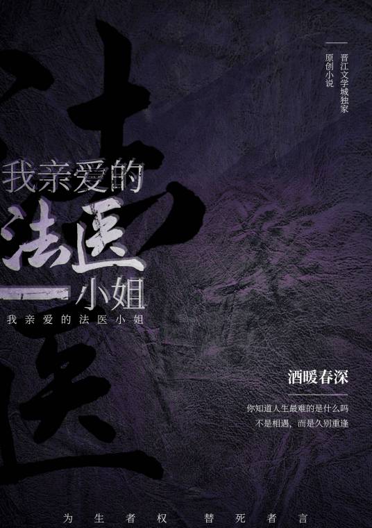 我亲爱的法医小姐（酒暖春深创作的悬疑类网络小说）