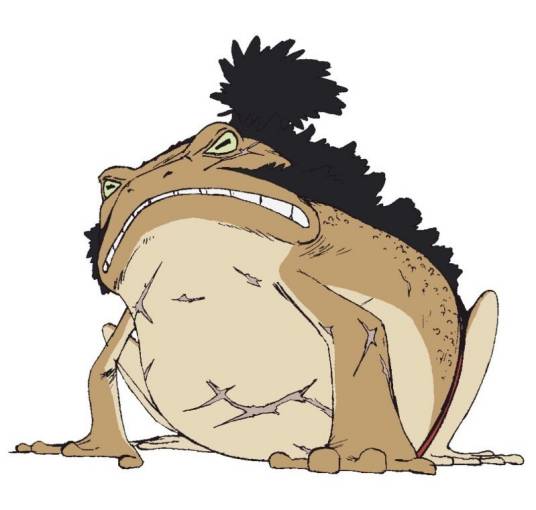 横纲（日本漫画《航海王》及其衍生作品中的角色）