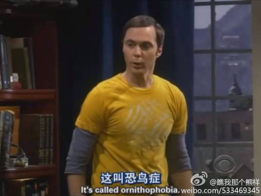 恐鸟症（医学术语）