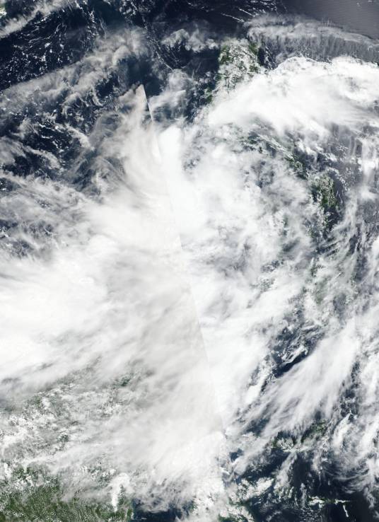 台风红霞（2020年第11号强热带风暴）