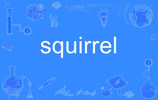 squirrel（英文单词）
