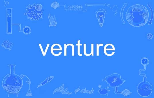 venture（英语单词）