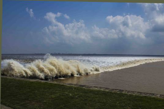 观潮（观潮日）