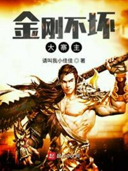 金刚不坏大寨主（佳男创作的武侠幻想类网络小说）