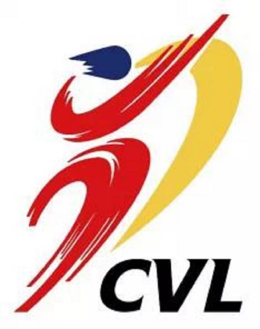 2020-21赛季中国女子排球超级联赛