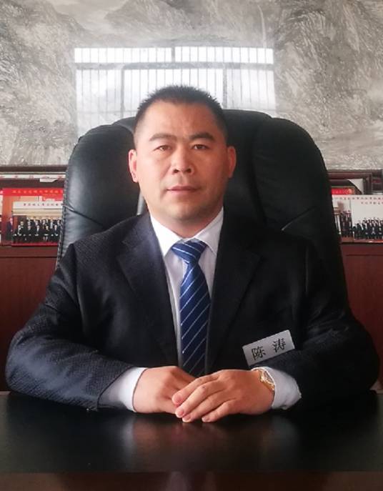 陈涛（山东北城集团董事长）