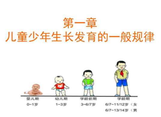 生长发育规律