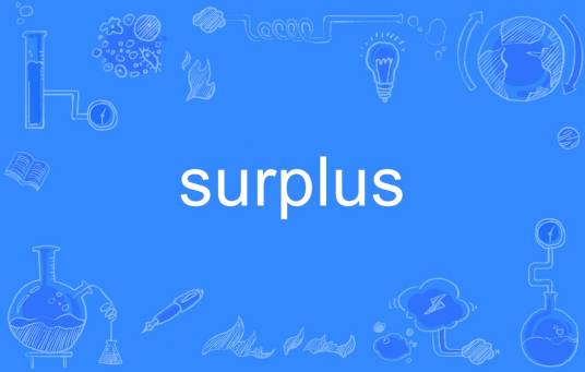 surplus（英语单词）