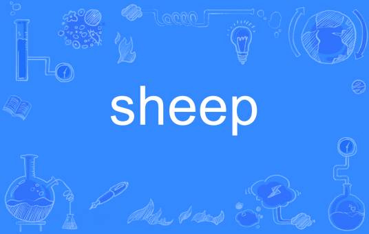 sheep（英语单词）
