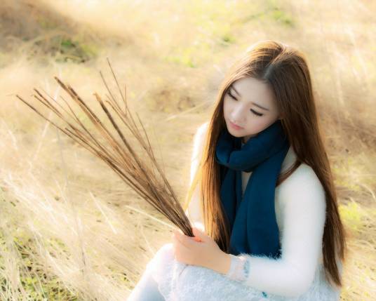 花为谁开（韩磊演唱歌曲）