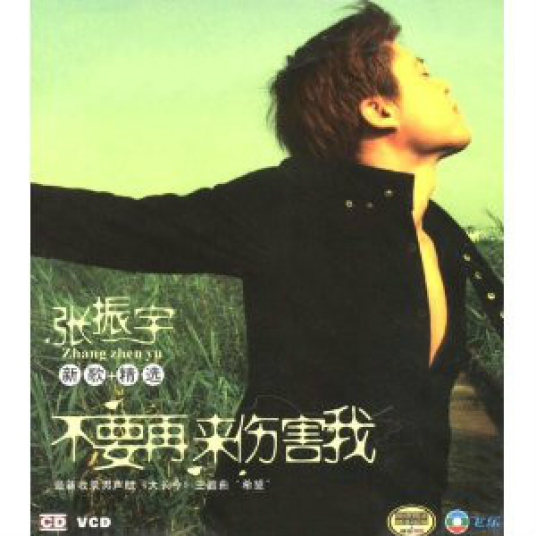 不要再来伤害我（张振宇演唱歌曲）