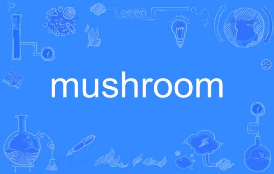 mushroom（英语单词）