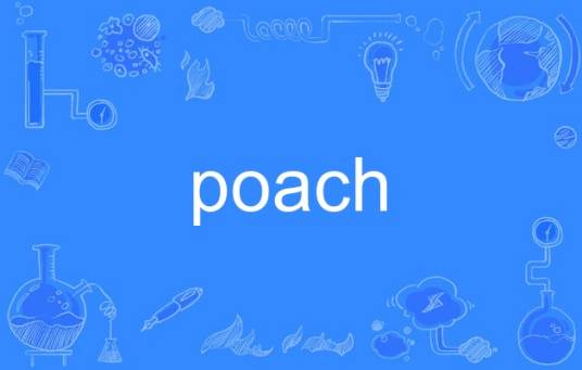 poach（英语单词）