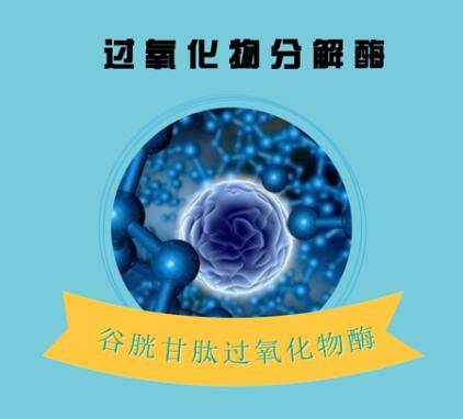 谷胱甘肽过氧化物酶