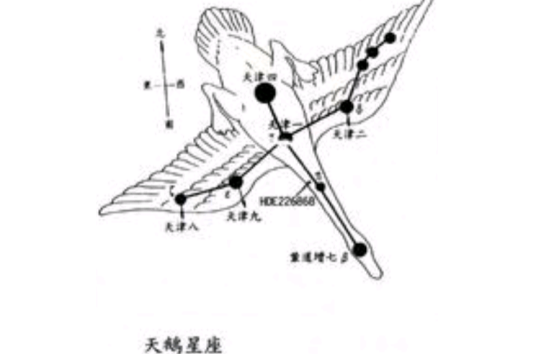 十字星（天鹅座别称）
