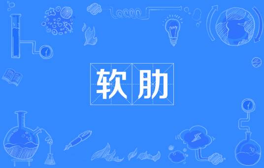 软肋（网络名词）