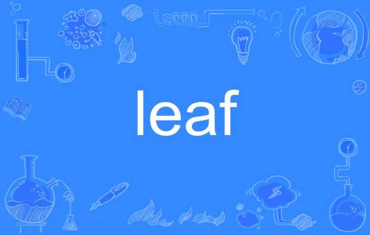 LEAF（英语单词）