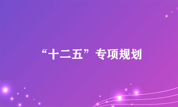 “十二五”专项规划