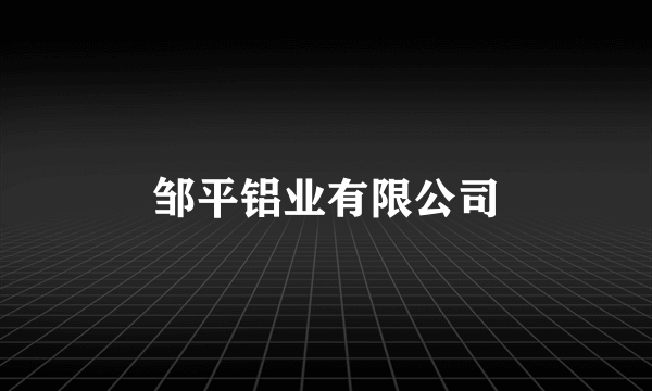 邹平铝业有限公司