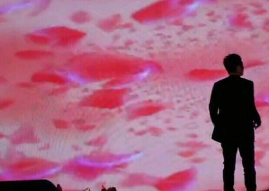 peng（中国台湾省歌唱家）