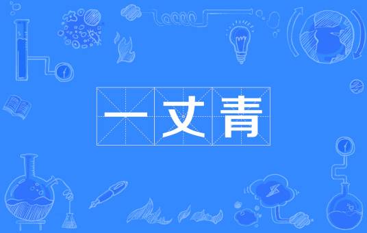 一丈青（汉语词语）