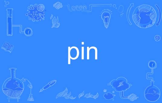 Pin（英文单词）