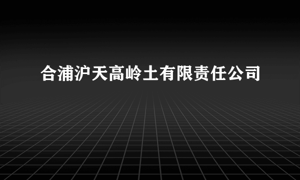 合浦沪天高岭土有限责任公司