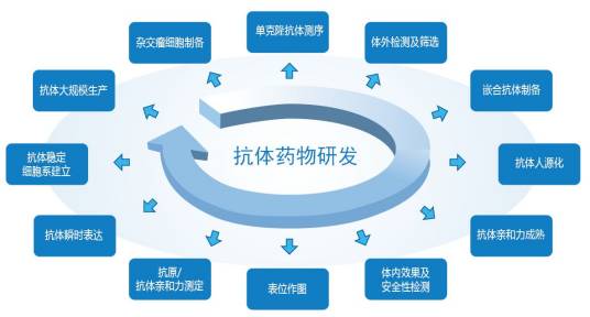 抗体药物