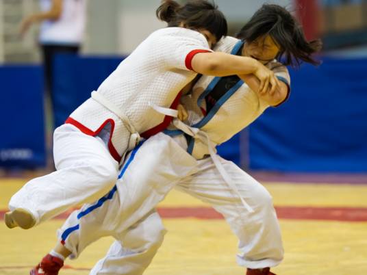 中国式摔跤（中国传统体育项目）