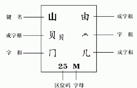 五笔打字练习软件