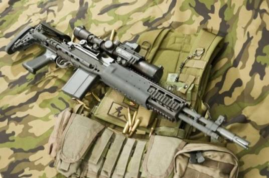 MK14（《使命召唤OL》中的突击步枪）