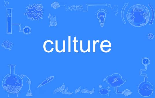 culture（英语单词）