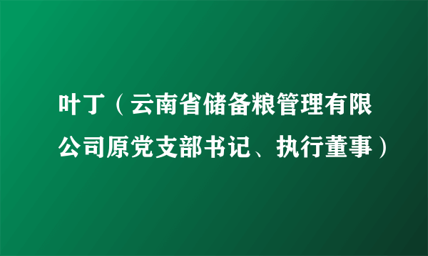 叶丁（云南省储备粮管理有限公司原党支部书记、执行董事）