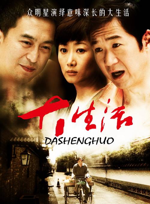 大生活（2009年黄力加执导的电视剧）